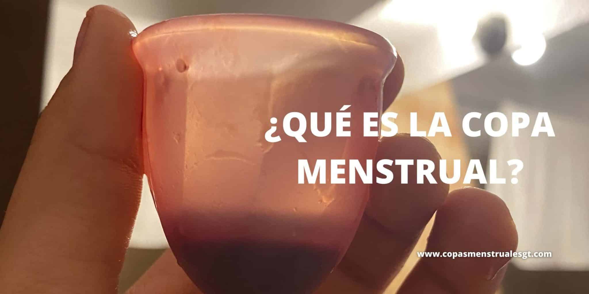 Preguntas